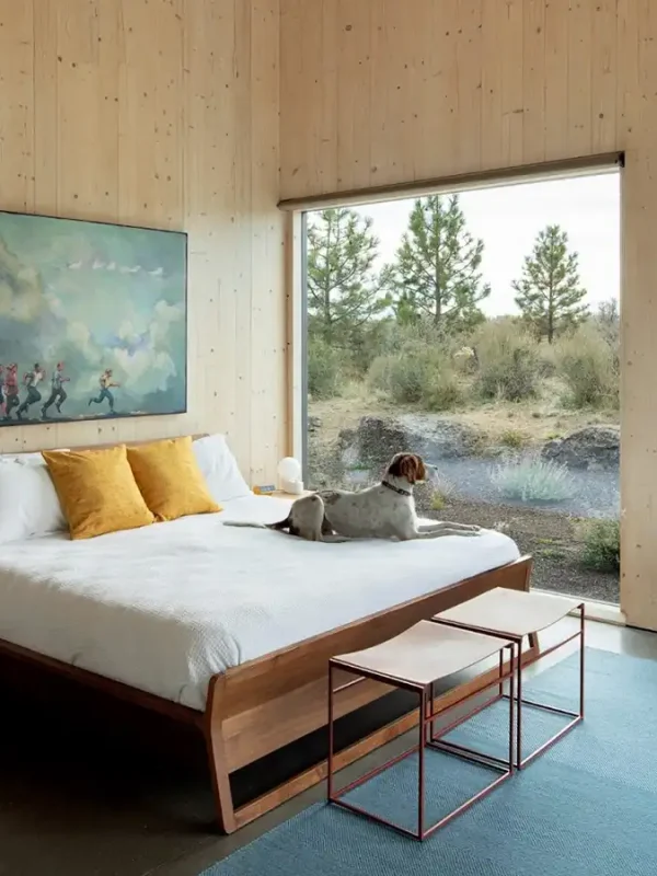 Sypialnia w domku do wynajęcia z łożkiem małżeńskim, na którym leży pies. Za dużym oknem rozpościera się widok na okoliczną naturę